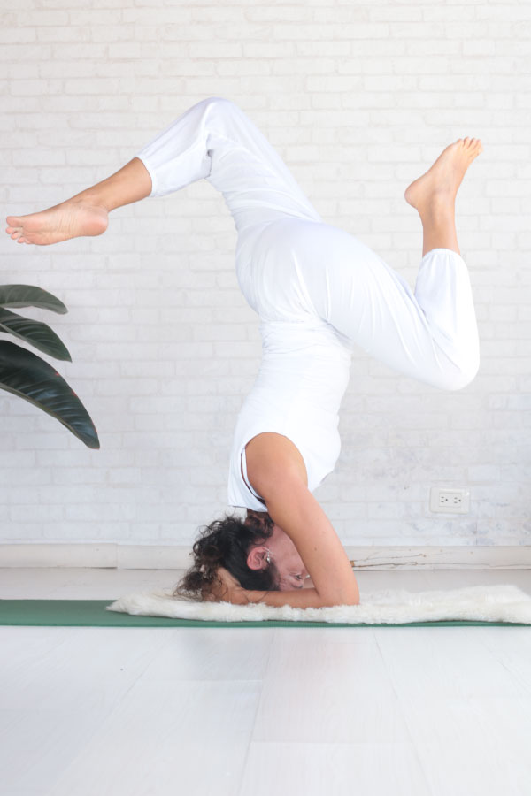 Retiro-Online-de-Yoga-y-Meditación1